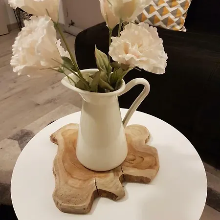 Apartamento La Fleur D Avec Son Parking *